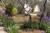 Jardinerie Pépinière Dauphin - Nos réalisations - Réalisation d'un jardin floral