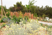 Jardinerie Pépinière Dauphin - Nos réalisations - Réalisation d'un jardin sec